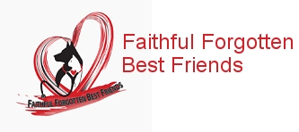 Faithful forgotten Best Friends